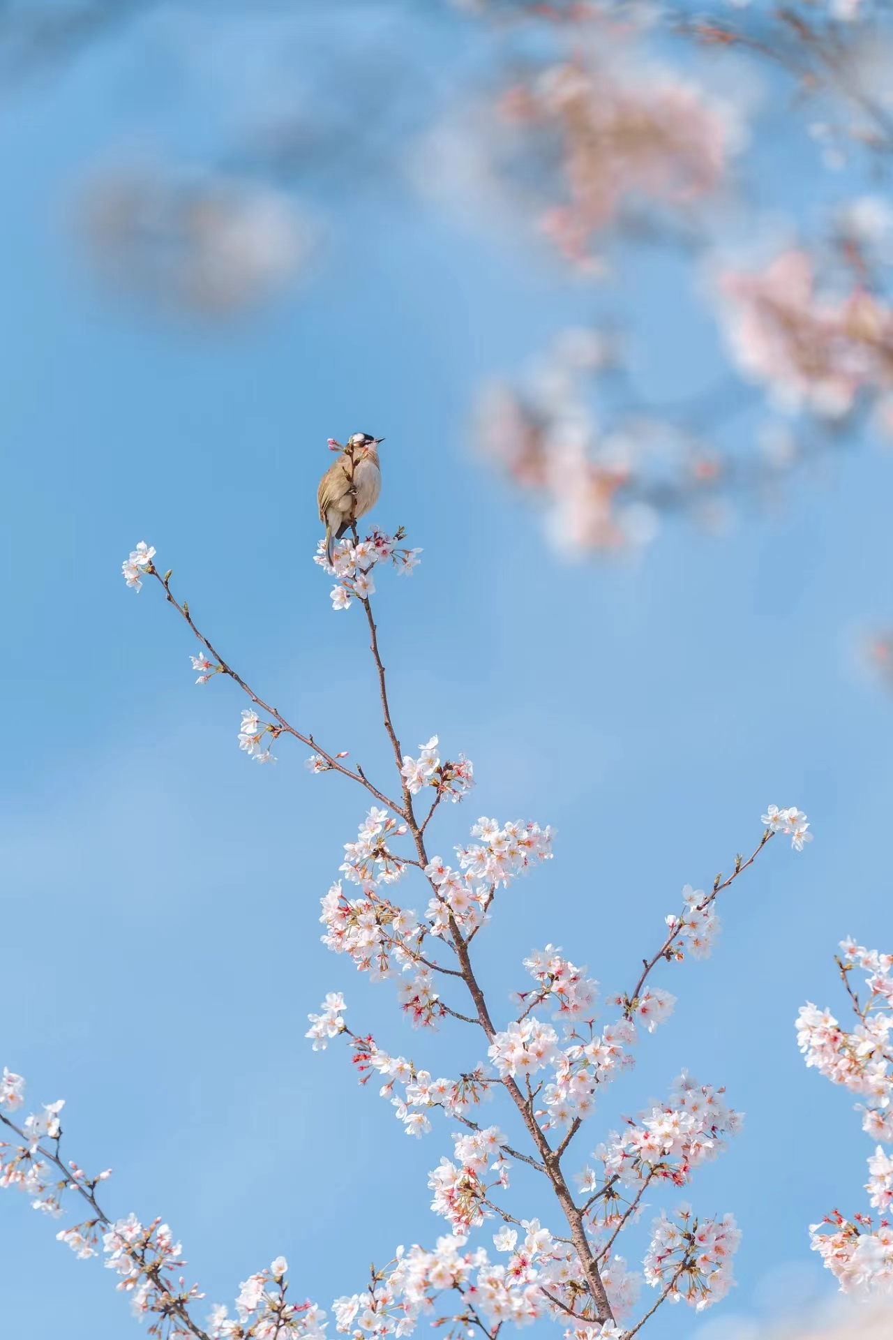 提前十分鐘，人生大不同